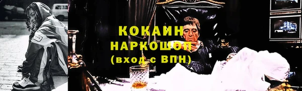 гидропоника Алзамай