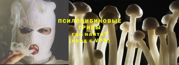 гидропоника Алзамай