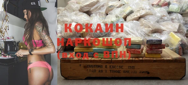гидропоника Алзамай